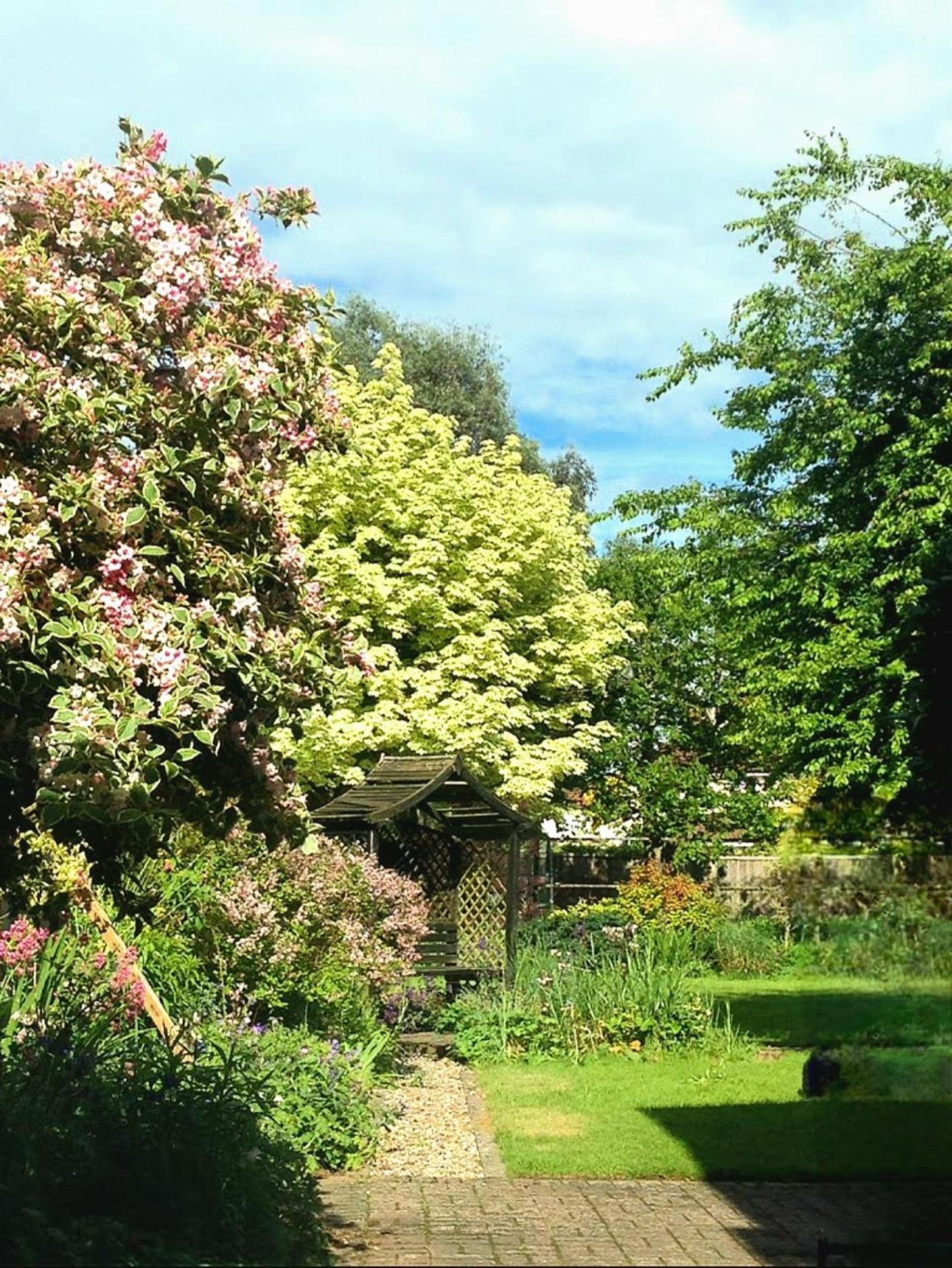 Hollybush Guest House Oxford Exterior foto