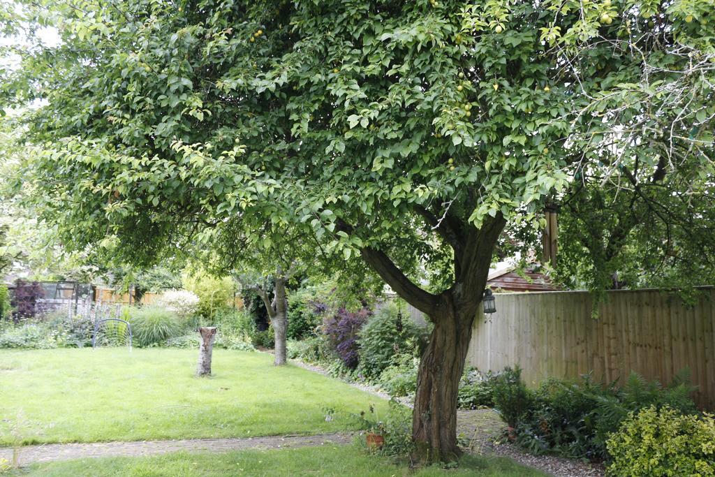 Hollybush Guest House Oxford Exterior foto
